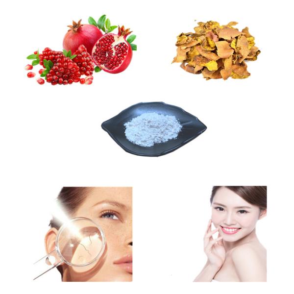 Commercial 99% Plant Extract Powder Pomegranate Peel Extract Ellagic Acid