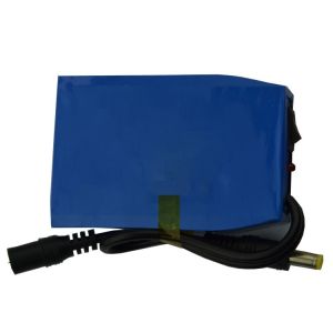 China 1000 Cycle MSDS 2600mAh 12V Lipo Battery Pack on sale