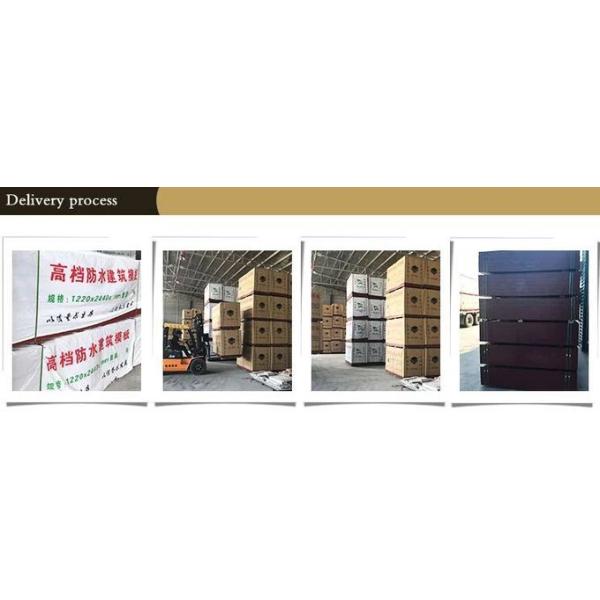 Square Black Film Faced Plywood Poplar / Pine / Birch Core Flat And Smooth