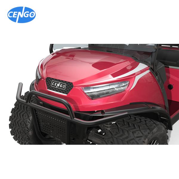 Street Legal Golf Cart NL-JA4 2.G Electric Buggy for Sightseeing Club 10% Climbing Ability 30Km/h Max. Speed