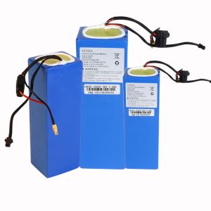 Quality CV Scooter Lithium Battery 13.5kg 3A 18650 Rechargeable Battery for sale