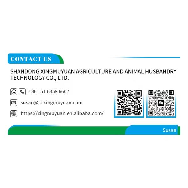 Industrial Wall Mounted Drop Hammer Fan Negative Pressure Hammer Ventilation Exhaust Fan with CE Certificate