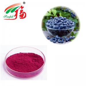China Bilberry Fruit And Veggie Powder Extract 25% Anthocyanidins For Smoothies on sale