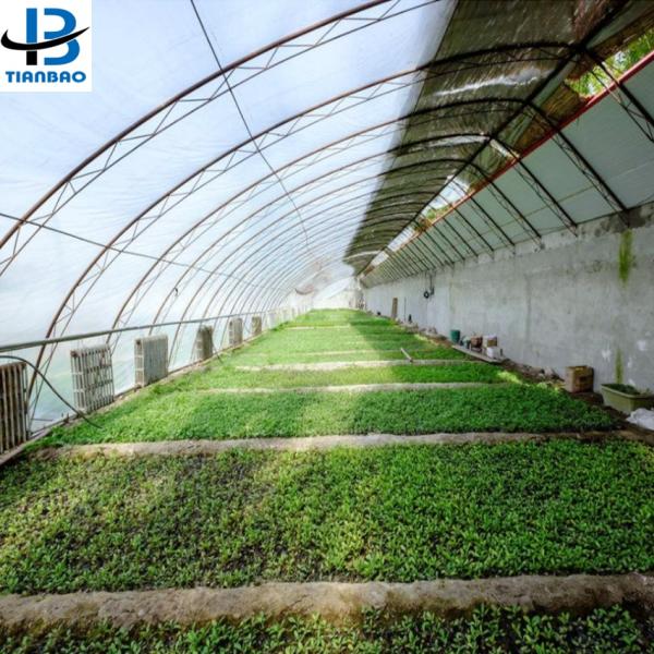 Customized Size Film Cover The Ultimate Solution for Agricultural Stretch Film Roll