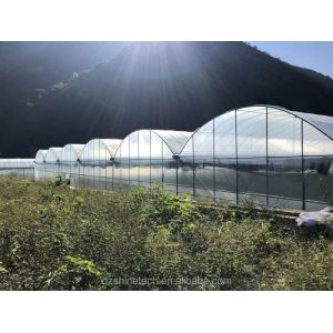 Industrial Hydroponic Greenhouse with Super Strong Resistance Multi Span