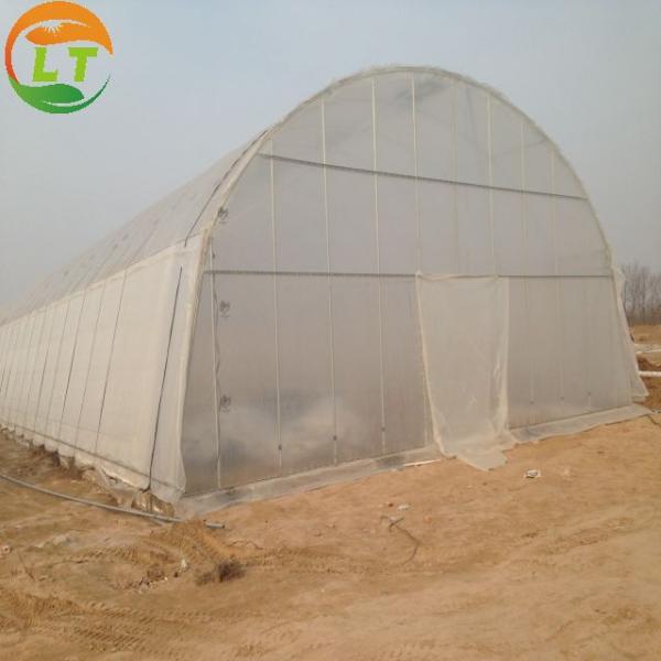 High Land Utilization Single-Span Greenhouse by LiTai Super Strong Resistance Guaranteed