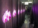 1920x576mm Customized Led Display Led Poster Mirror Led Screen App Control