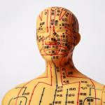 Acupuncture Model With Flexible Joints For Learning Body Structure