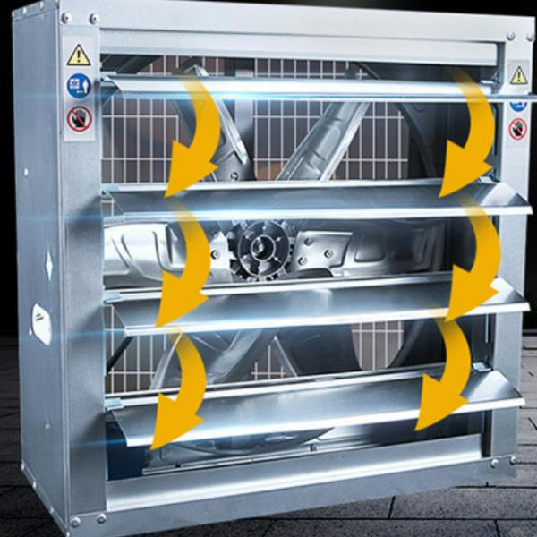 Source Factory 50 Inch Pig Pen Using Poultry Exhaust Fan Poultry Fan Poultry Farm Ventilation Fans for Sale