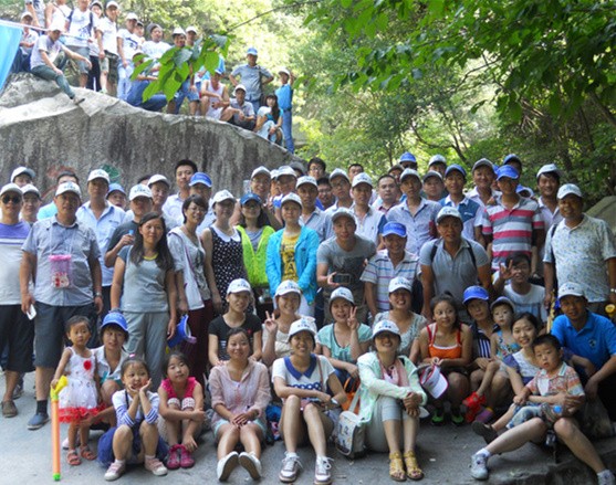 Foldable Wooden Dining Room Chairs With Metal Legs Multi Color Optional