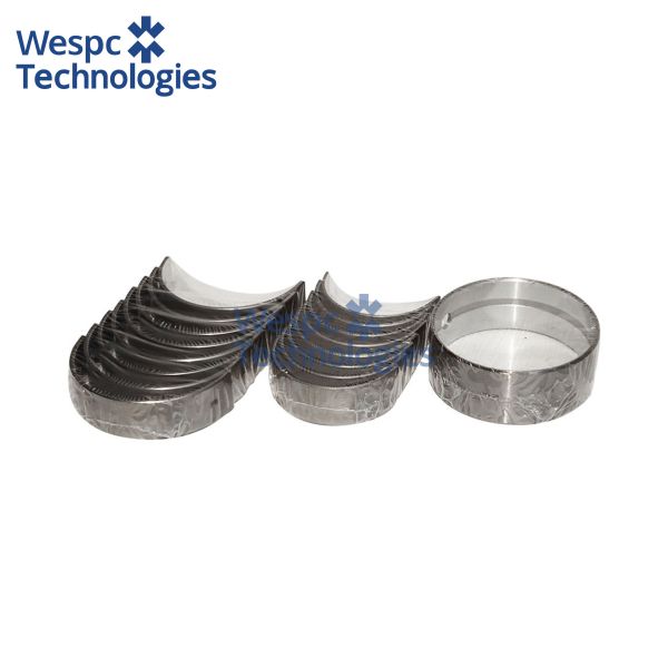 WESPC T421659 Bearing Set