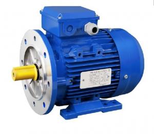 Quality AC Electric 3 Phase Induction Motor FUJIAN MINDONG Motor 400V 50HZ Stainless Shaft for sale