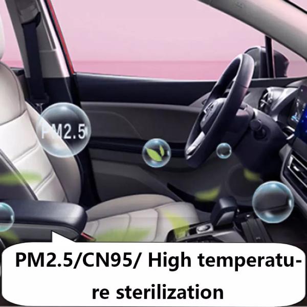 301km Luxury Electric SUV