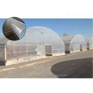 Film Covered Single Span Agricultural Greenhouse For Hydroponic Crop Cultivation