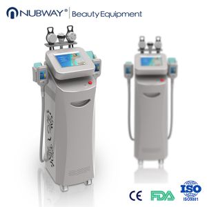 Quality Cavitation Cryolipolysis/2014 Cryolipolysis Slimming for sale
