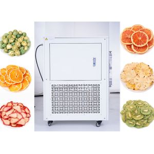 Breast Milk Home Mini Freeze Dryer 10kg/Batch PLC Control