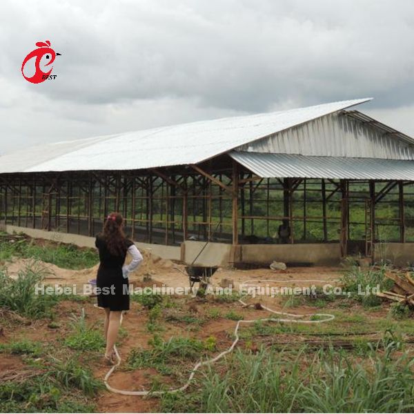 Toughness House Design Laying Chicken Battery Cage System With Cage Mesh Iris
