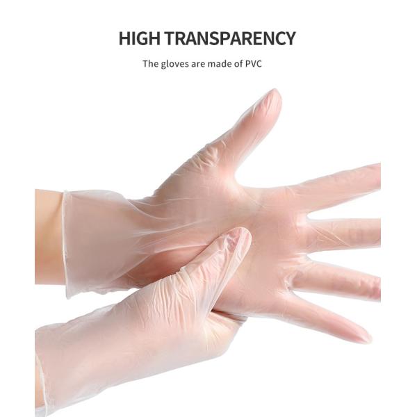 Powder Free Powdered Disposable Vinyl Gloves S M L XL Size