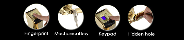 Hidden Keyhole Remote Control Password Door Lock with Low Voltage Warning