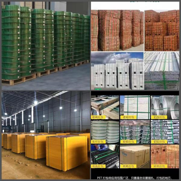 Recycling Plant PET Strap Making Machine PET Package Band Extrusion Line High Performance PET Sheet Extrusion Line