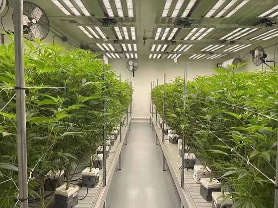 ABS Hydroponic Greenhouse Rolling Benches 70cm Height Plant Nursery Benches