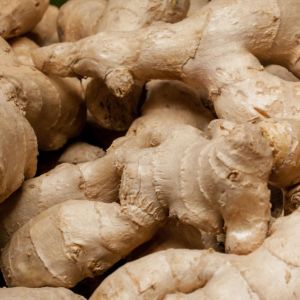 Dehydrated Dried Organic Ginger Root Powder 10% Moisture