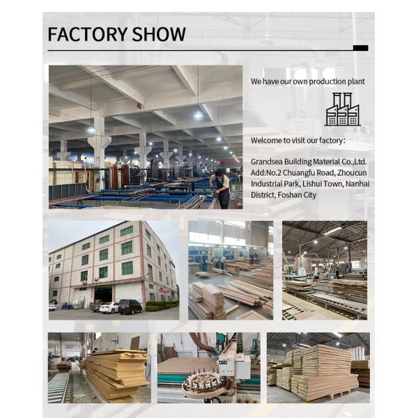 Malaysia Style Light Pattern Security Steel Matte Black Finish Bright Color Pivot Door with Stainless Steel Handle