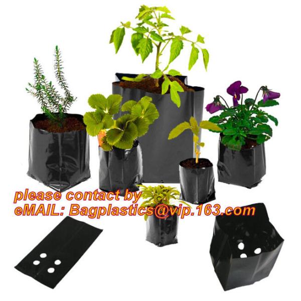 Seedling Planter Biodegradable Garden Bags for Tomatoes Growing