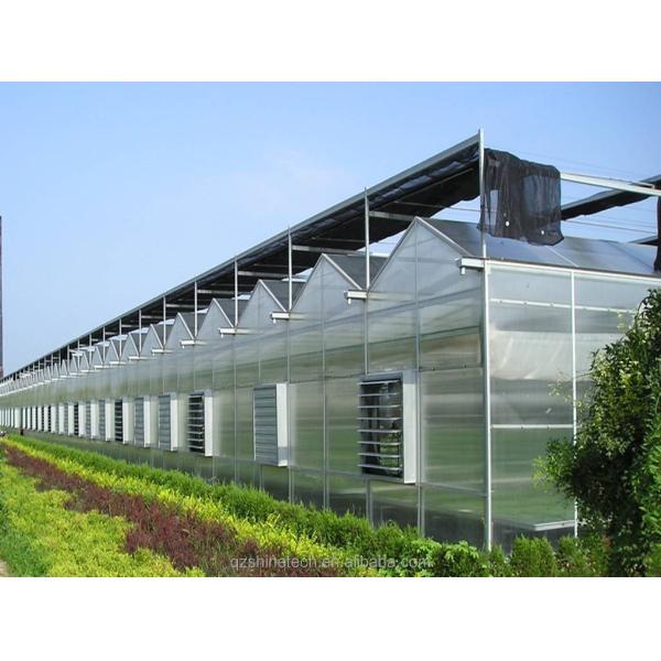 4m Bay Width Multi Span Greenhouse Agricultural Cover Material Super Strong Resistance
