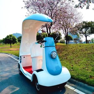 Quality 170KG Capacity Scenic Park Landscape Electric 4 Wheel Mobility Scooter for sale