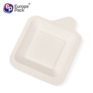 Eco friendly biodegradable tableware cheap disposable square cake dishes plates