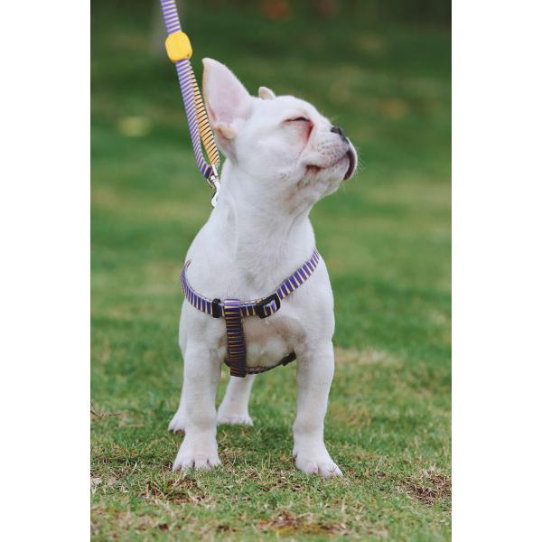 Adjustable Polyester Dog Harness