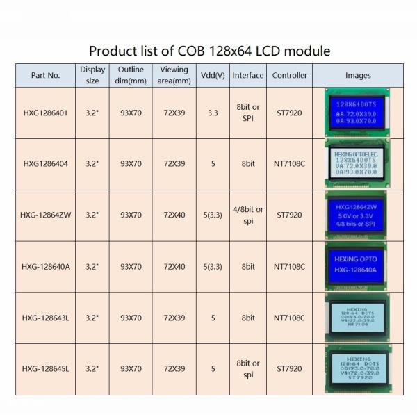 Monochrome COB Connection 12864 Graphic STN HTN FSTN LCD Display Module