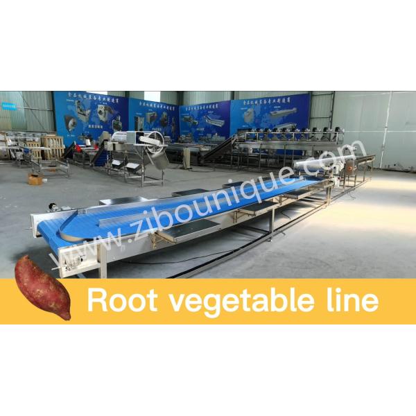 Food Processing Industries Commercial Potato Peeler Machine with Stainless Steel 304