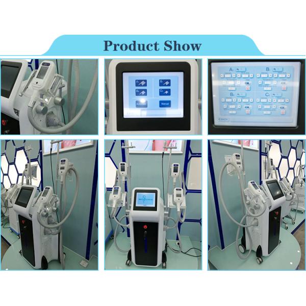 Best result cryolipolysis 4 handles fda cryotherapy slimming beauty instrument for spa