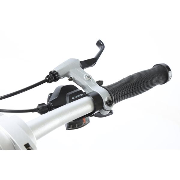 GOMID SHIMANO Kit Gear Cycle Aluminium Alloy Folding City Bike with SCHWALBE Tires Custom Foldable Bicycle Double V Brake