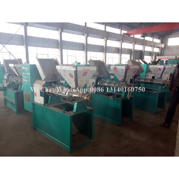 80-125kg/H Nuts Processing Machine Shea Automatic Oil Extraction Machine