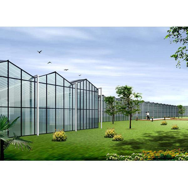 Sturdy Structure, Adjustable Climate VENLO Glass Greenhouses For Strawberry & Flower Cultivation