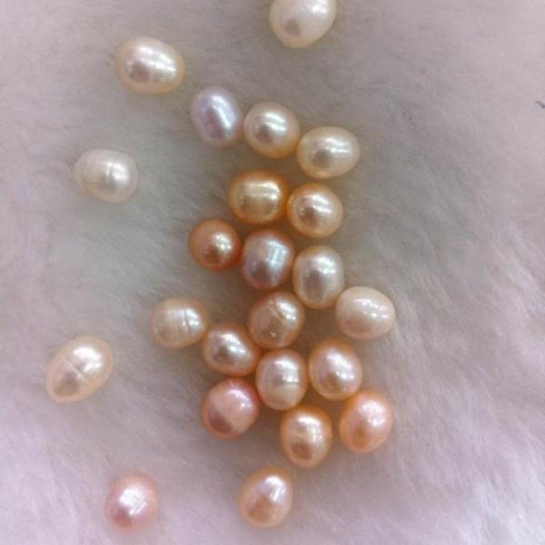 Wholesale Vacuum-packed 7-8mm A grade rice shape freshwater pearl oyster white natural Pearl Oyster