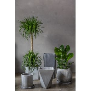 Classic Polygon Planter