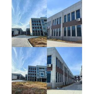 Bulk Supply Andrographis Extract Andrographolide 98% Powder