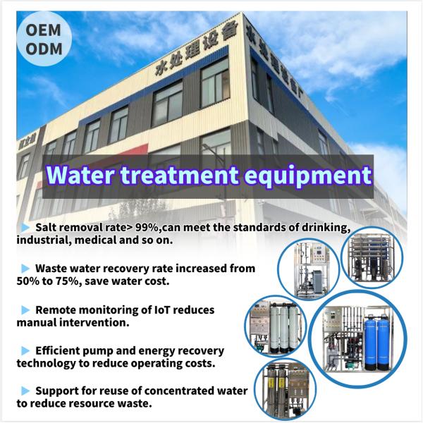 10000lph Ro Reverse Osmosis Brackish Water Desalination Plants Water Treatment Equipment System