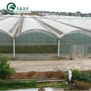 Plastic Film Covered Polytunnel Greenhouse with Hydroponic System and Ventilatio