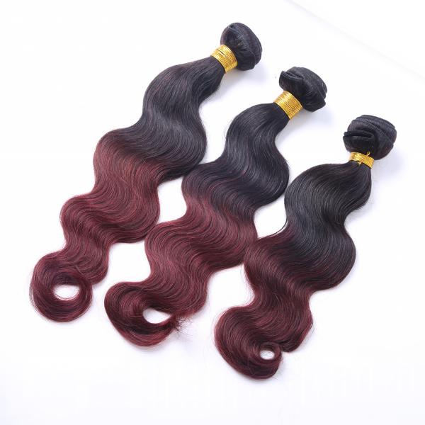 Machine double brazilian hair weft two tone ombre colored hair weave bundles