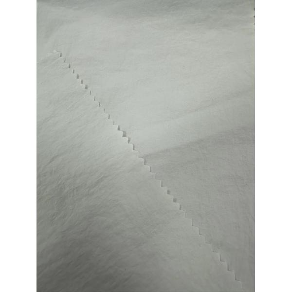 81gsm 40D*68D 100%N Nylon taslon