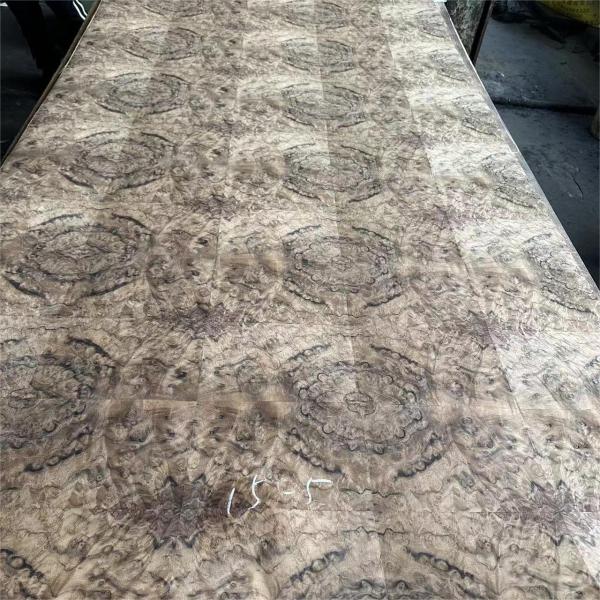 Factory Price 4 * 8 Feet High End Black Walnut Burl Wood Veneer Furniture Wall Panels Door Wood Venee