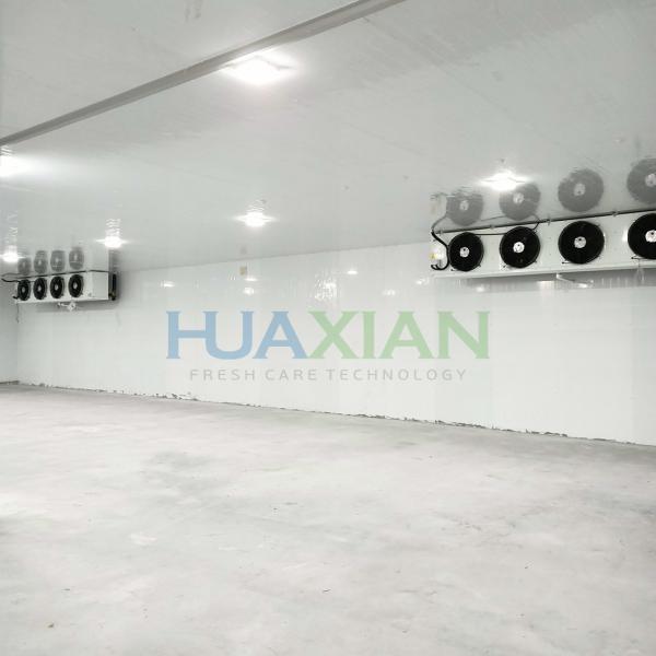 China Refrigeration Unit Industrial Walk in Blast Deep Freezer Food Storage Cold Room