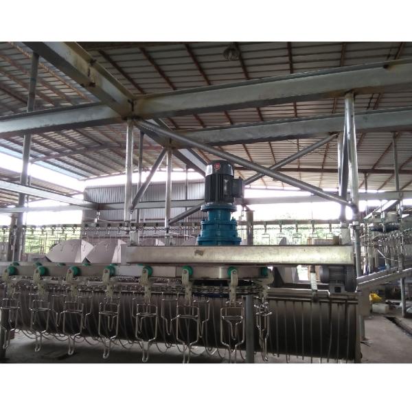 Custom Quail Slaughtering Machine With 220V / 380V / 415V / 230V / 110V Voltage