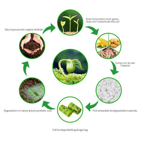 100% Biodegradable PBAT Bags Compostable Printing Biodegradable Food Packing Bag