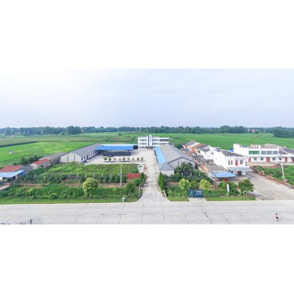 Anti Virus Medical Standard Sanitary Disposable 3 Ply Earloop Face Mask -50 Pcs/Box